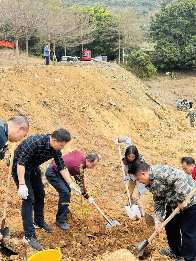 2024年广州计划建设古树公园、古树乡村6个(图2)