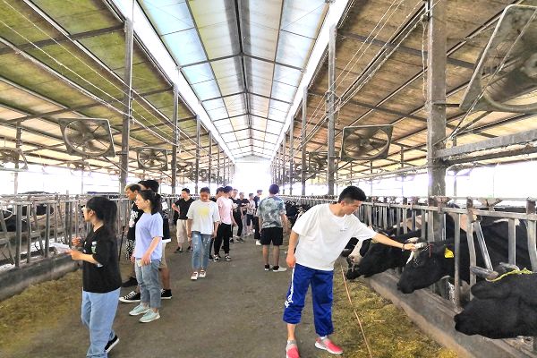 九游体育网站：【梦想由你来绘黄职因你而美】乡村振兴邀您同行——这里是生物与农业学院！(图2)