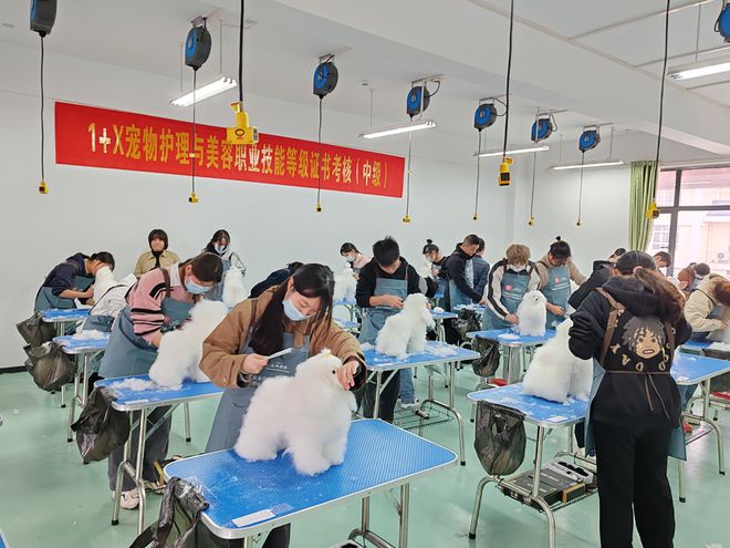 九游体育网站：【梦想由你来绘黄职因你而美】乡村振兴邀您同行——这里是生物与农业学院！(图3)