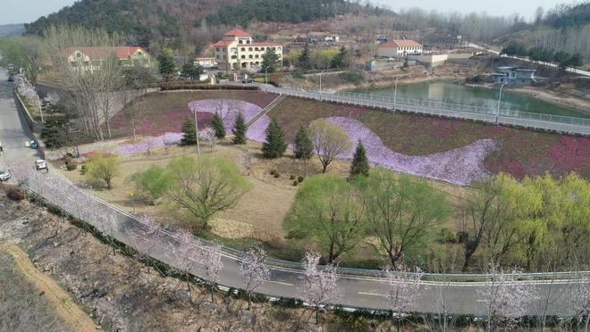 九游体育：开投集团投资建设！铁山水库周边综合整治项目荣获“园林绿化工程标准化示范工地”(图1)