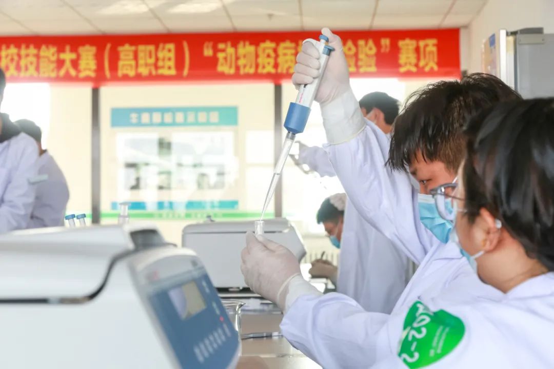 我校现代农学院承办2024年吉林省职业院校技能大赛（高职组）“动物疫病检疫检验”“园林景观设计与施工”赛项并荣获佳绩(图2)