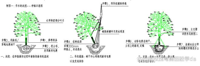 九游体育网站：【点赞+收藏】零基础入门园林工程施工要求及注意事项(图2)