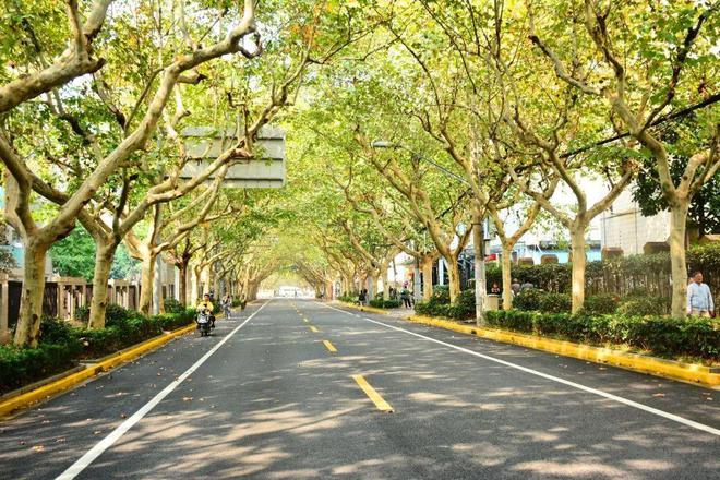 园林景观道路如何设计？(图2)
