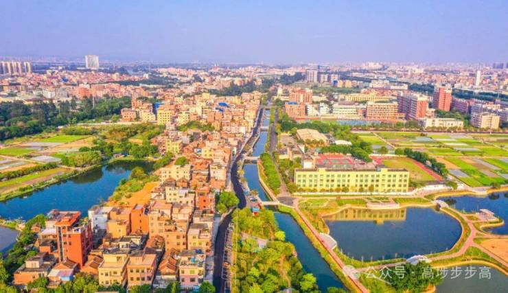 九游体育网站：围绕四大建设一个效益2024年绿美高埗生态建设这样持续推进!(图6)