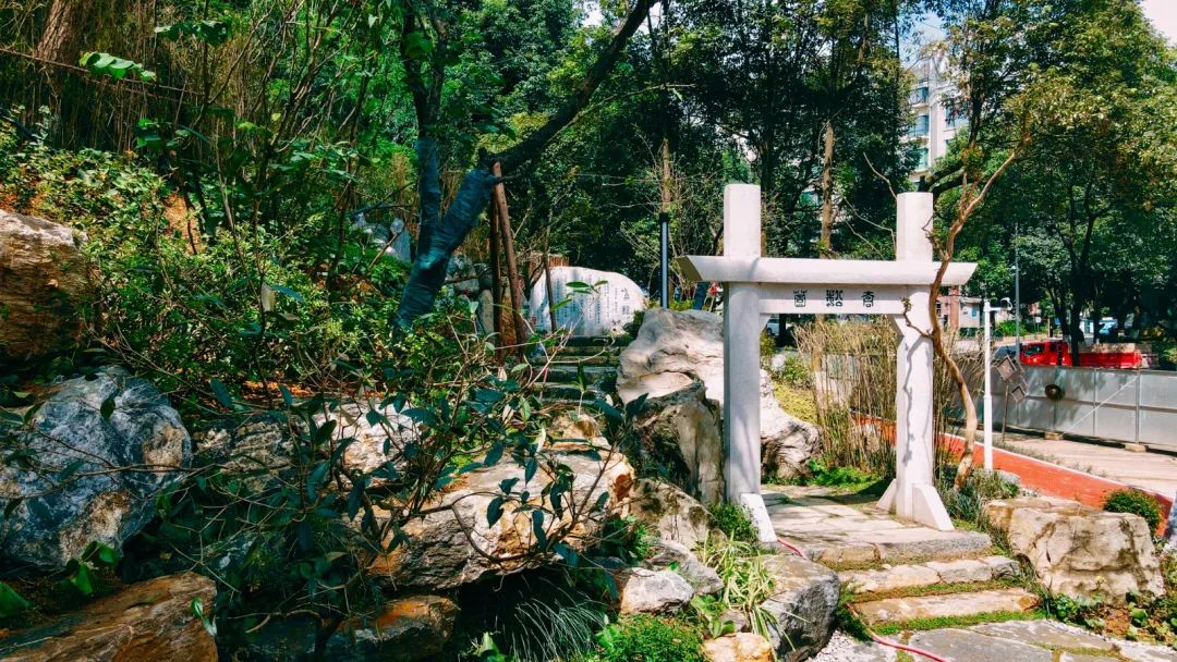 观山湖：为“口袋公园”提供个性化护理服务(图7)