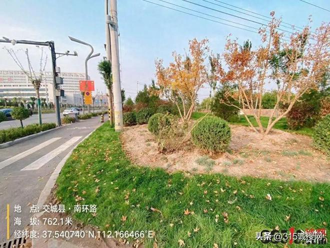 九游体育：山西交城县环路绿化提升改造工程施工项目涉嫌违规先施工后招标(图1)