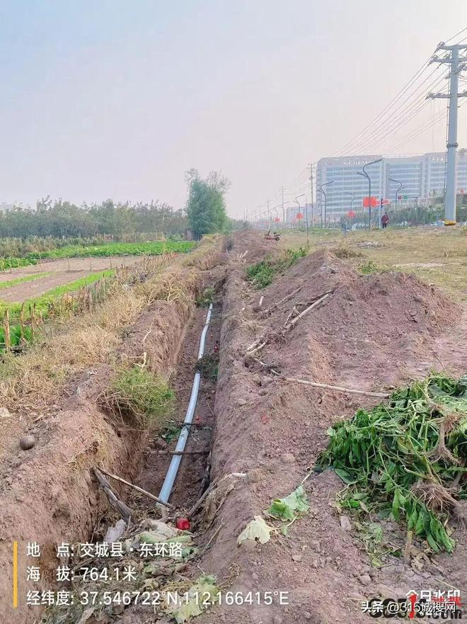 九游体育：山西交城县环路绿化提升改造工程施工项目涉嫌违规先施工后招标(图3)