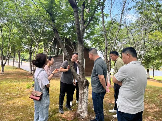 为城市添“绿”为民生添“彩”(图5)
