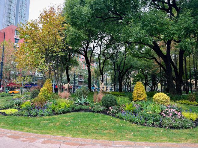 2024民生答卷丨“公园里建城市”黄浦今年新增绿化面积47万平方米！(图4)