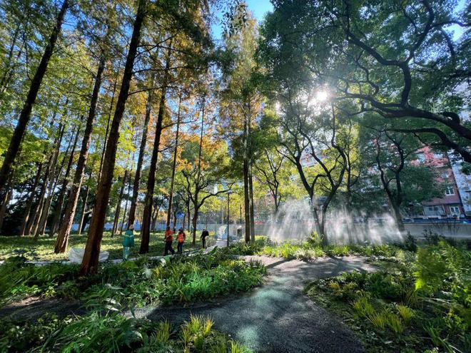 2024民生答卷丨“公园里建城市”黄浦今年新增绿化面积47万平方米！(图5)