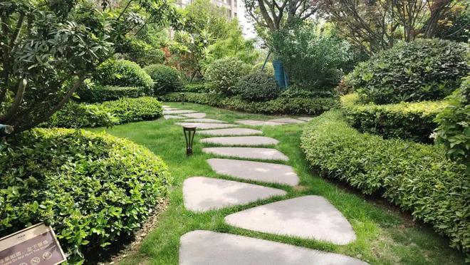 2024民生答卷丨“公园里建城市”黄浦今年新增绿化面积47万平方米！(图1)