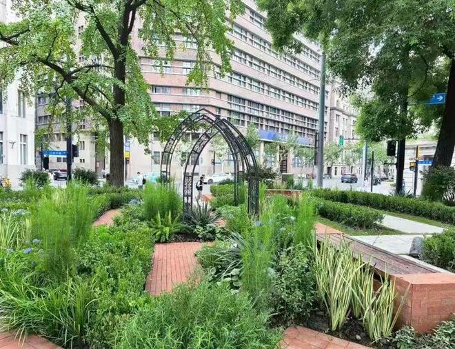 2024民生答卷丨“公园里建城市”黄浦今年新增绿化面积47万平方米！(图6)