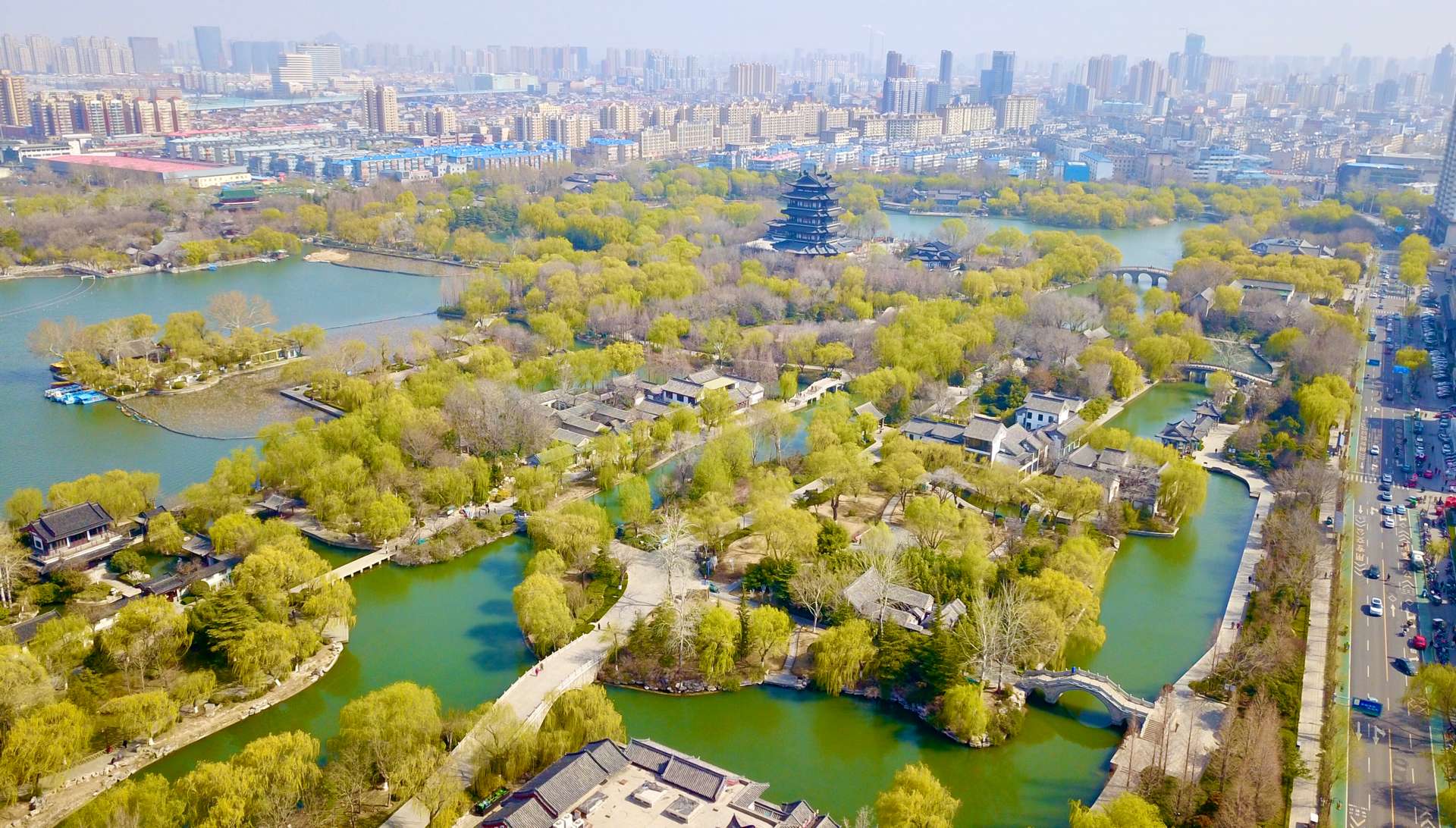 九游体育：济南市园林和林业绿化事业发展中心：创新思路笃干实行开新局(图1)