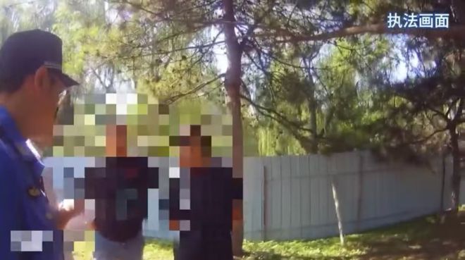 九游体育：以案说法丨事发延庆！某施工单位私砍城市绿化树木罚款2万余元(图1)