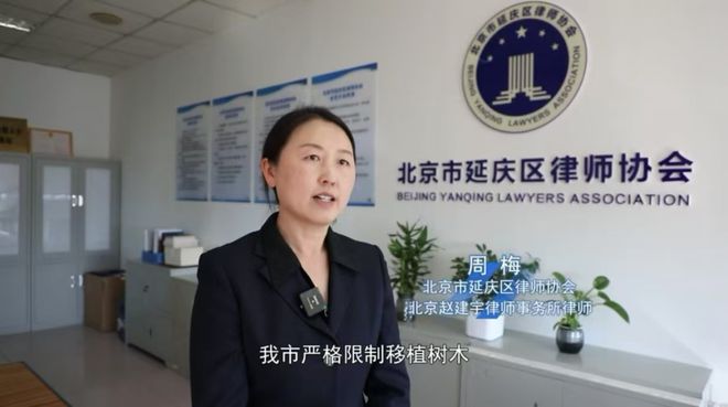 九游体育：以案说法丨事发延庆！某施工单位私砍城市绿化树木罚款2万余元(图4)