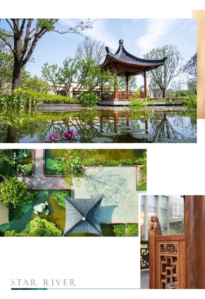 九游体育网站：星河湾实力彰显荣获人居环境及园林技术双示范工程荣誉(图6)