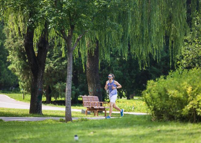 投资超千万！望京这个大公园即将改造焕新！(图5)