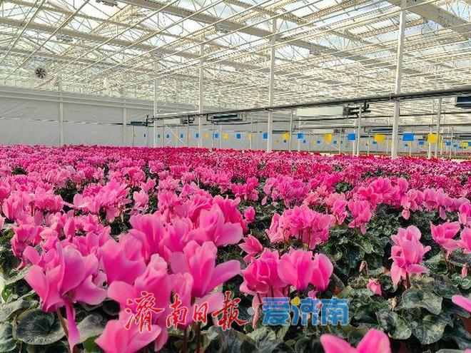 易通城建集团全力冲刺一季度“开门红”(图6)