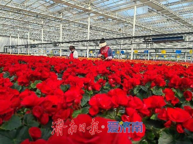 易通城建集团全力冲刺一季度“开门红”(图7)