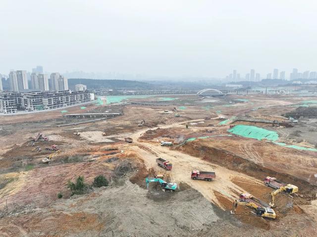 宜居指数拉满！天府怡心湖片区全速推进公园绿地、教育配套建设(图1)