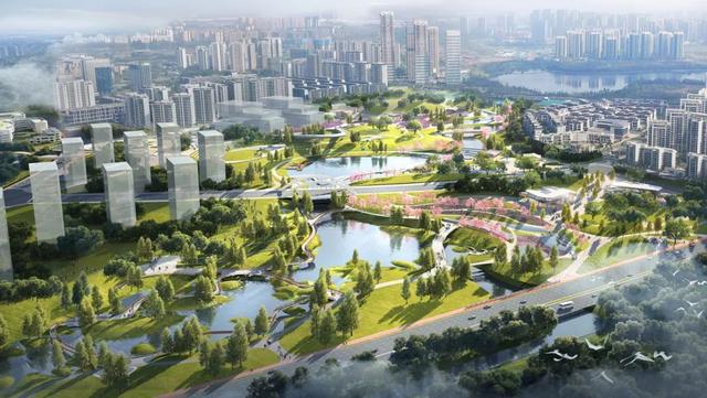 宜居指数拉满！天府怡心湖片区全速推进公园绿地、教育配套建设(图2)