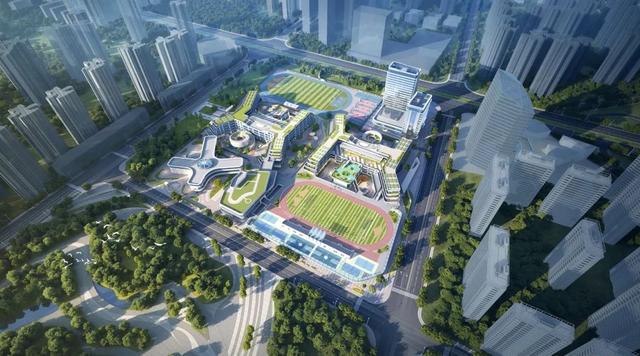 宜居指数拉满！天府怡心湖片区全速推进公园绿地、教育配套建设(图5)