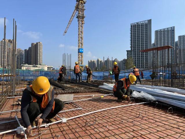 宜居指数拉满！天府怡心湖片区全速推进公园绿地、教育配套建设(图7)