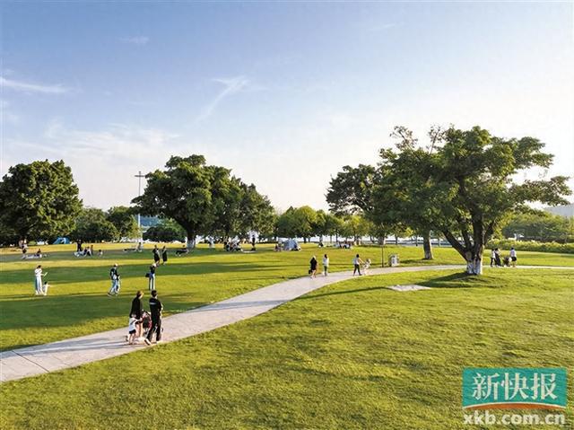 九游体育：23372万株！广东超额完成2024年县镇村绿化任务目标(图1)