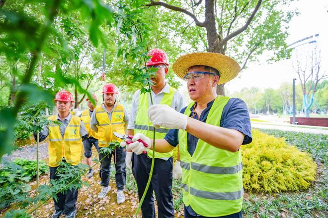 匠心筑梦以“绣花”功夫打造城市风景线(图4)