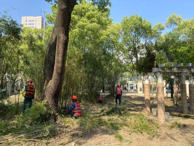 近3000㎡绿地预计6月底完工并开放！取名“玉兰园”就在……(图1)