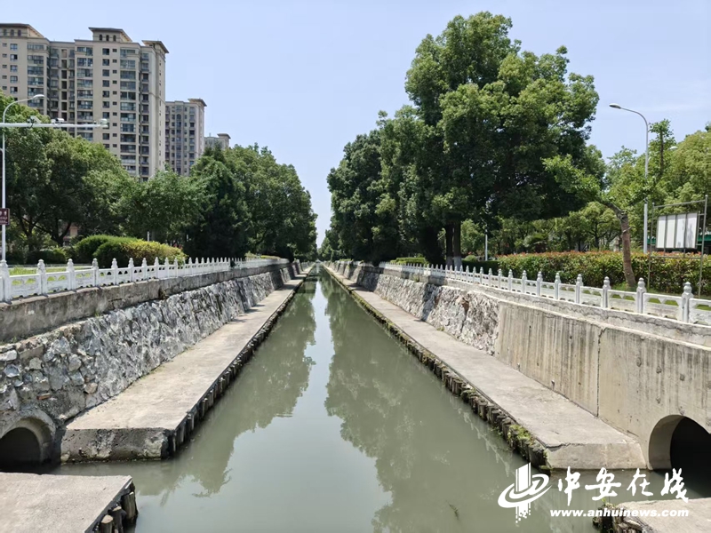环保世纪行倾城守护巢湖生态环境新蝶变(图3)