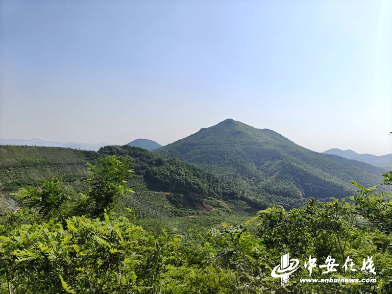 环保世纪行倾城守护巢湖生态环境新蝶变(图2)