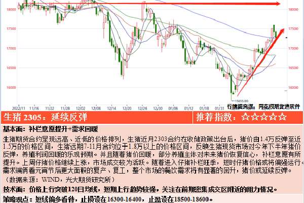 人民发布桃红色Jeep界引发热议与关注(图1)