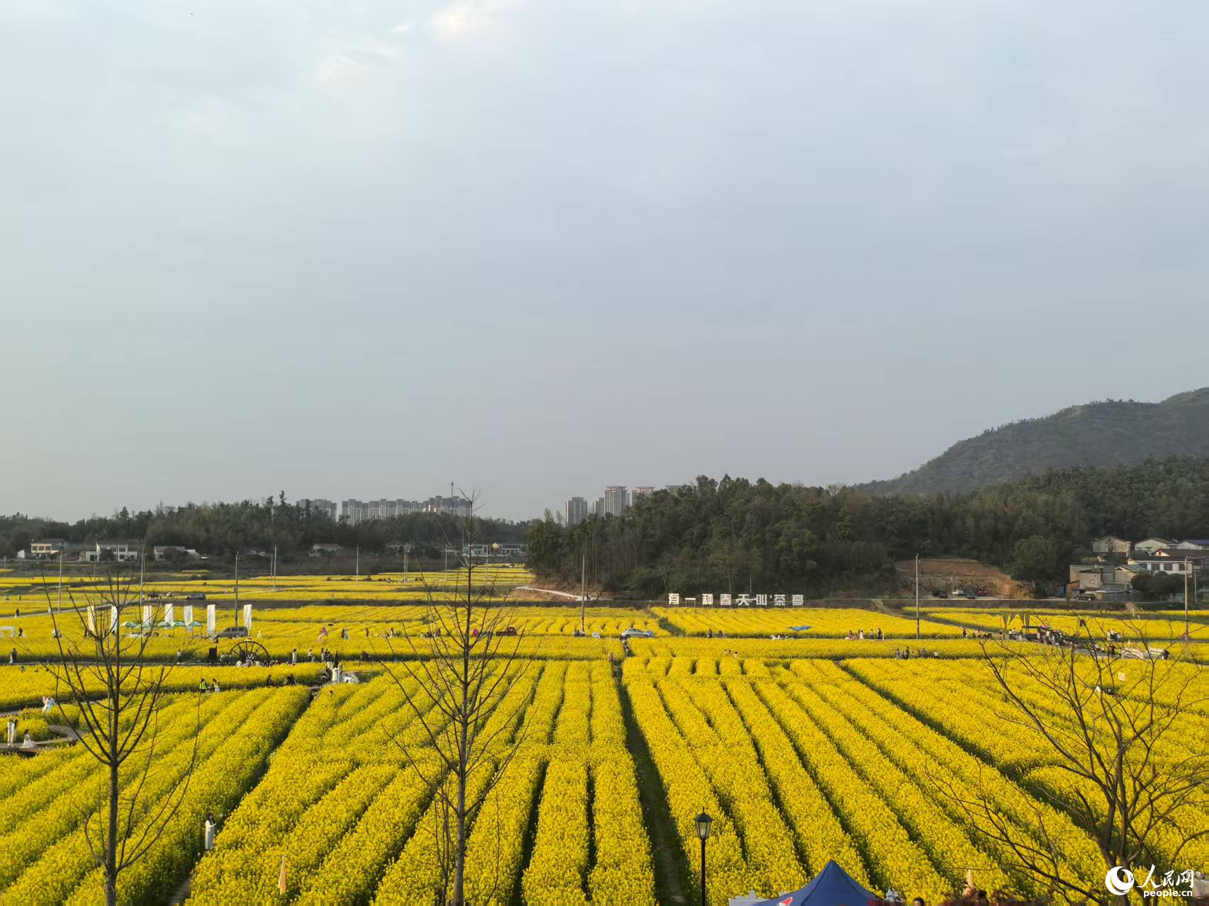 九游体育网站：乡村振兴看“湘”村(图1)