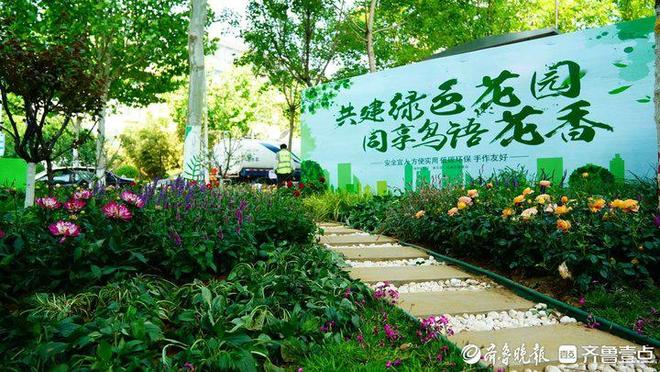 九游体育：济南历下区“共建花园”：方寸之地绽放社区治理新图景(图1)