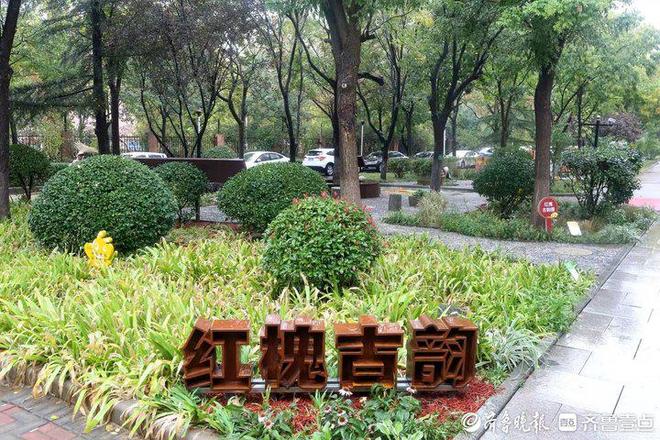九游体育：济南历下区“共建花园”：方寸之地绽放社区治理新图景(图5)