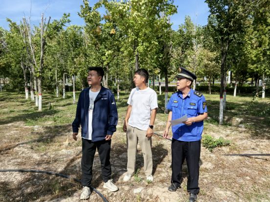 园林部门开展移植树木成活率核查工作(图2)