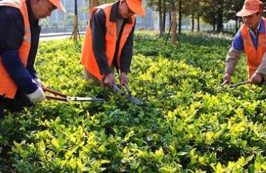 九游体育：孝感市政园林工程公司分享市政园林工程如何减少施工对环境影响(图1)