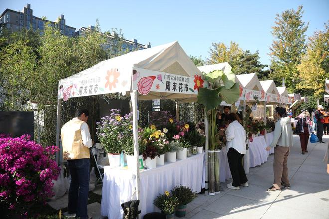 九游体育：2025年金角银边城市微花园设计建造全国大赛落幕(图1)