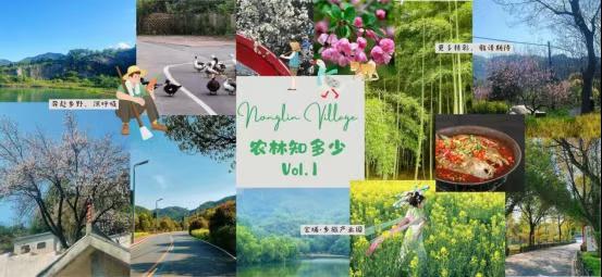 跨越四载向“新”而行：金埔园林平台化转型与运营新纪元(图3)
