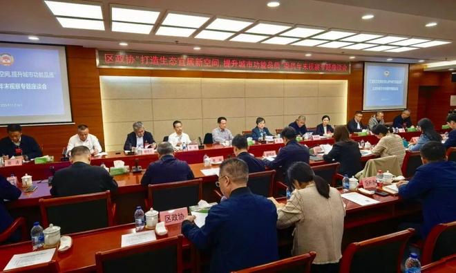 九游体育网站：聚焦打造生态宜居新空间、提升城市功能品质区政协开展年末视察(图2)