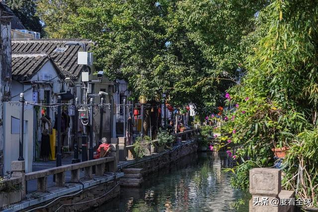 单日63万人挤爆！平江路凭双棋盘格局解锁江南水乡新打开方式(图16)