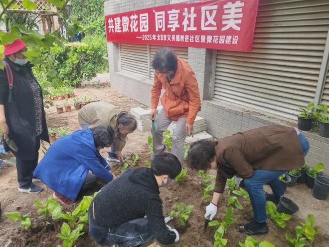 巧绘“方寸之美”北京市西城区微花园点亮城市“微幸福”(图5)