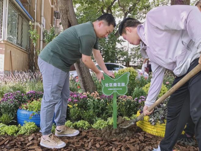 巧绘“方寸之美”北京市西城区微花园点亮城市“微幸福”(图6)