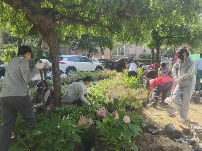 巧绘“方寸之美”北京市西城区微花园点亮城市“微幸福”(图9)