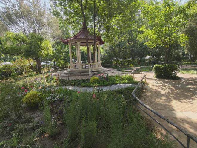 巧绘“方寸之美”北京市西城区微花园点亮城市“微幸福”(图7)