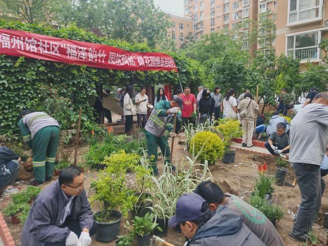 巧绘“方寸之美”北京市西城区微花园点亮城市“微幸福”(图8)