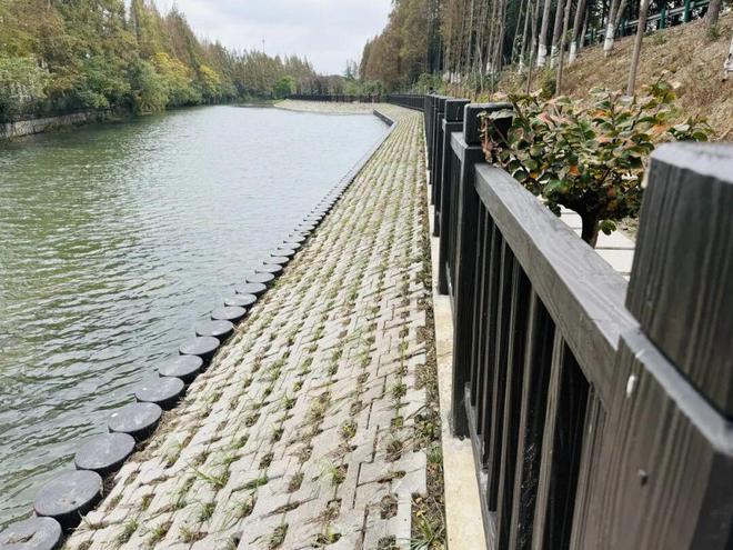 金山海塘岁修工程通过竣工验收(图3)