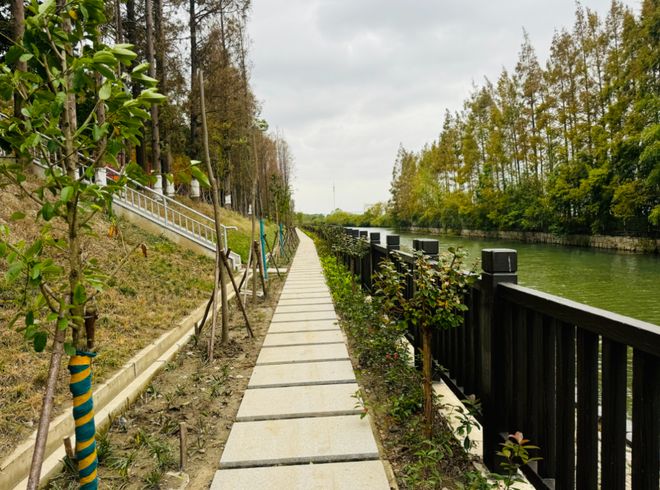 金山海塘岁修工程通过竣工验收(图2)