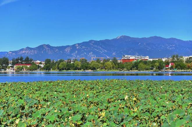 延庆将生态文明建设写在绿水青山间(图11)